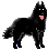 blackraven